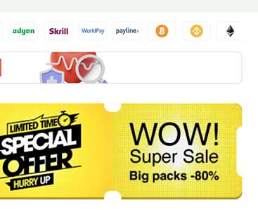 Secure Online Payment